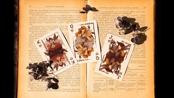 Epiphyllum Playing Cards on Sale - Image 3