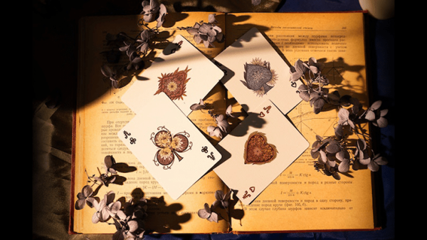 Epiphyllum Playing Cards on Sale - Image 5